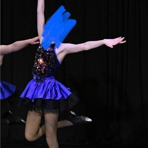 Sequin Dance Costume by Artstone, in Blue and Black